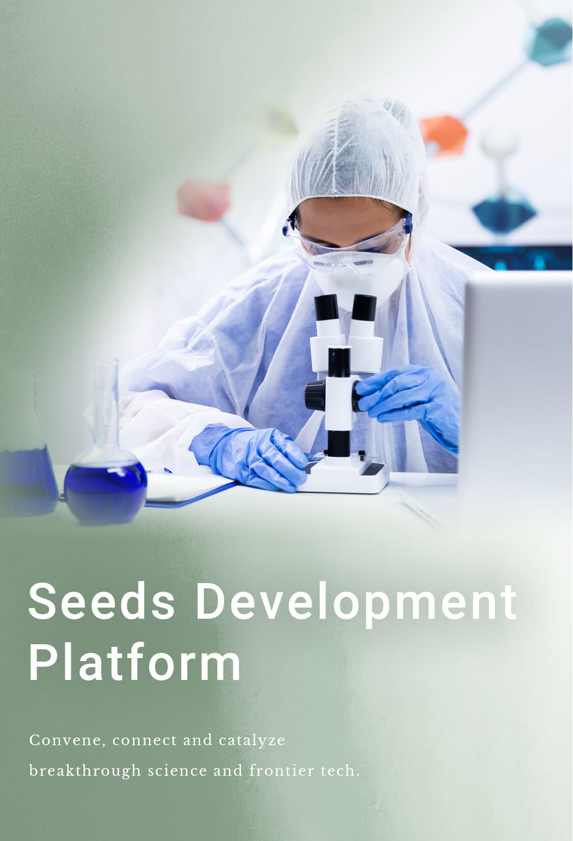 Seeds Development Platform